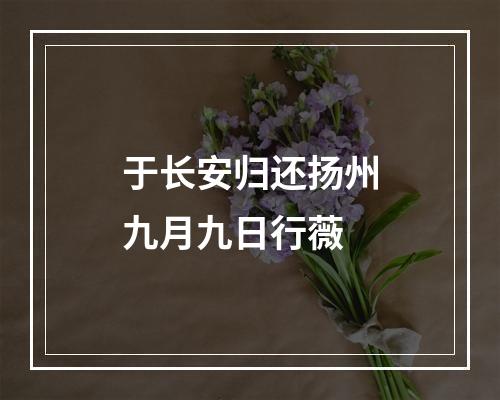 于长安归还扬州九月九日行薇
