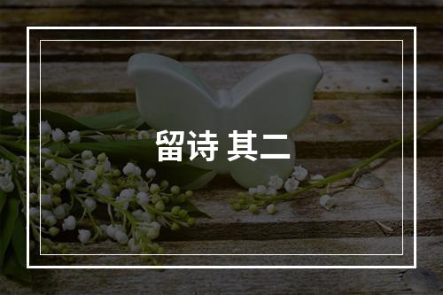 留诗 其二