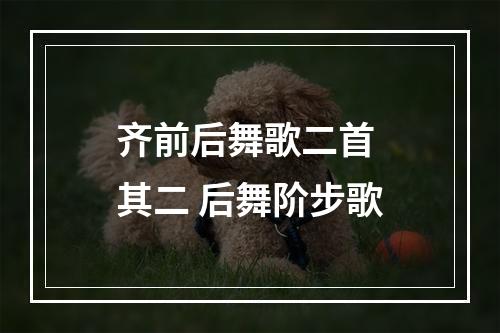 齐前后舞歌二首 其二 后舞阶步歌