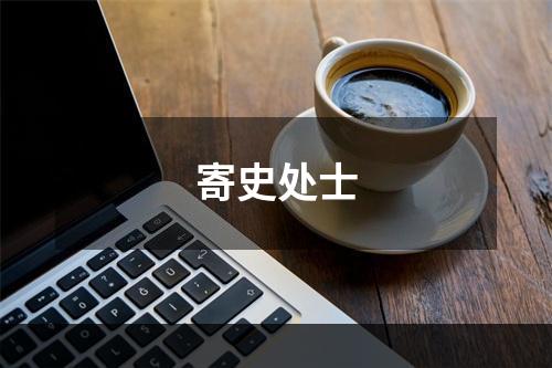 寄史处士