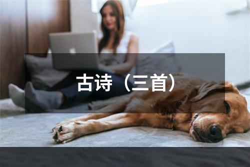 古诗（三首）