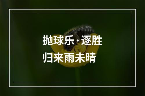 抛球乐·逐胜归来雨未晴