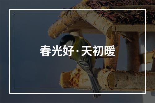 春光好·天初暖