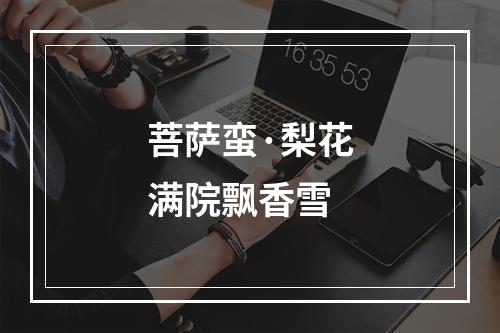 菩萨蛮·梨花满院飘香雪