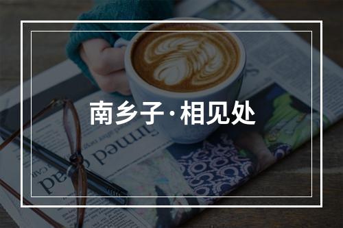 南乡子·相见处
