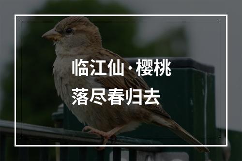 临江仙·樱桃落尽春归去