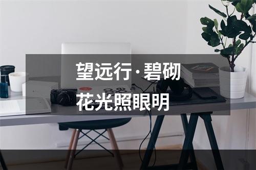 望远行·碧砌花光照眼明