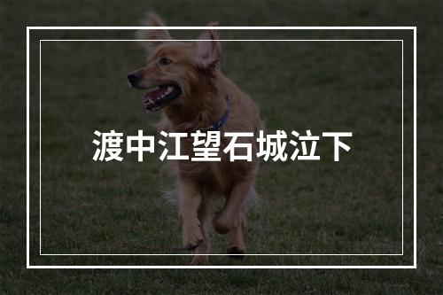 渡中江望石城泣下