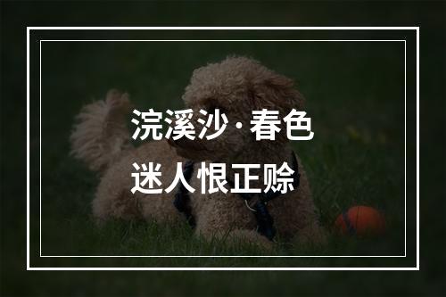 浣溪沙·春色迷人恨正赊