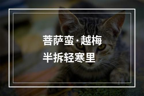 菩萨蛮·越梅半拆轻寒里