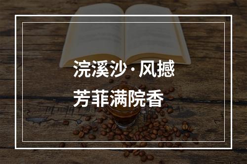 浣溪沙·风撼芳菲满院香