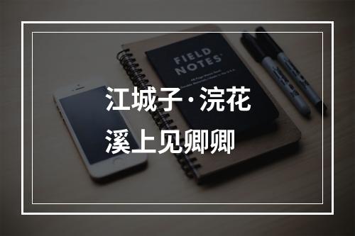 江城子·浣花溪上见卿卿