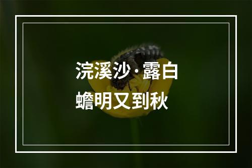 浣溪沙·露白蟾明又到秋