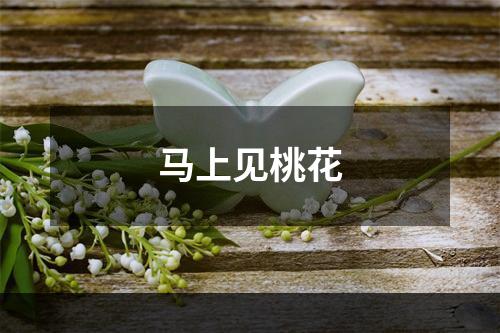 马上见桃花