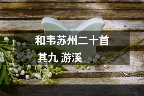 和韦苏州二十首 其九 游溪