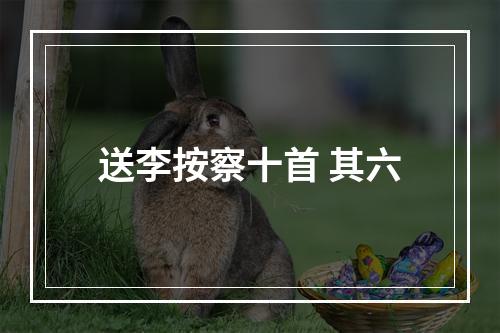 送李按察十首 其六