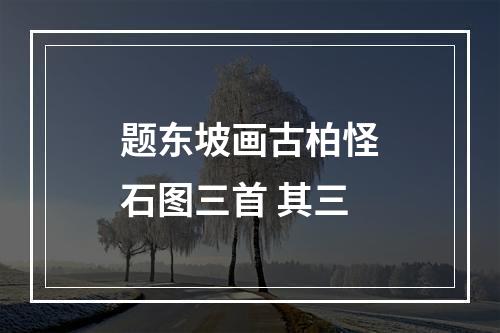 题东坡画古柏怪石图三首 其三