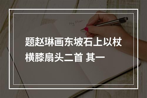 题赵琳画东坡石上以杖横膝扇头二首 其一