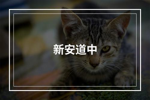新安道中