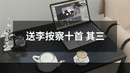 送李按察十首 其三