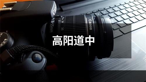 高阳道中