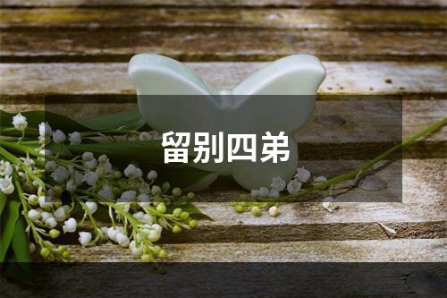 留别四弟