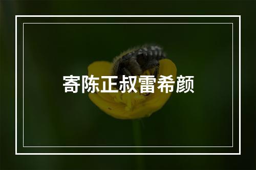 寄陈正叔雷希颜