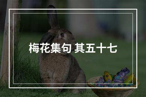 梅花集句 其五十七