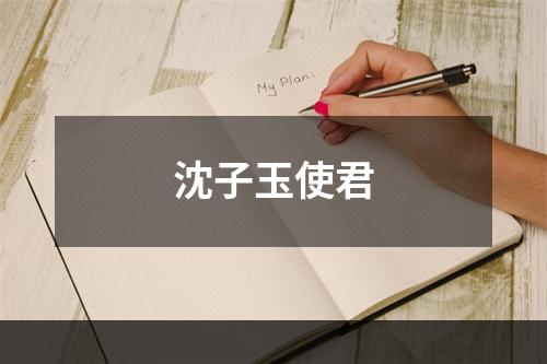 沈子玉使君