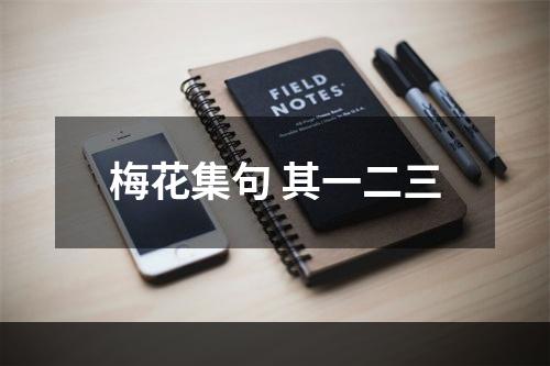 梅花集句 其一二三