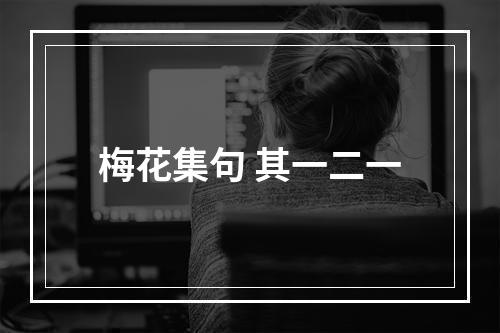 梅花集句 其一二一