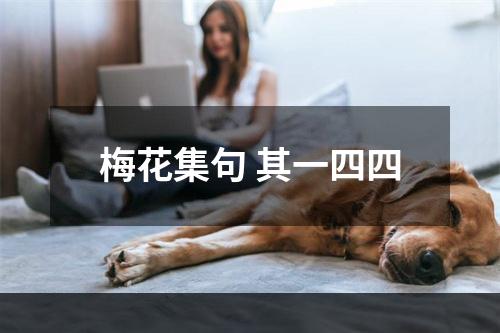 梅花集句 其一四四