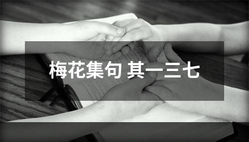 梅花集句 其一三七