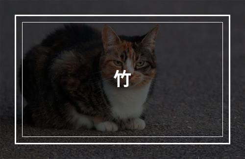 竹