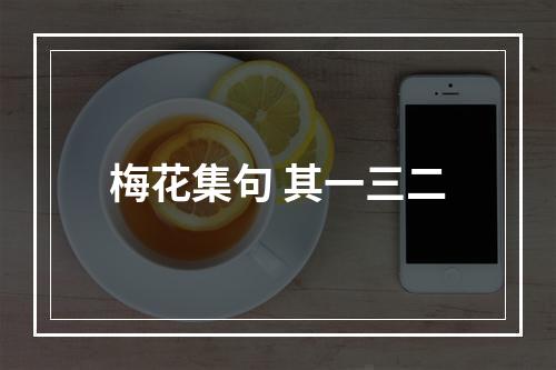 梅花集句 其一三二