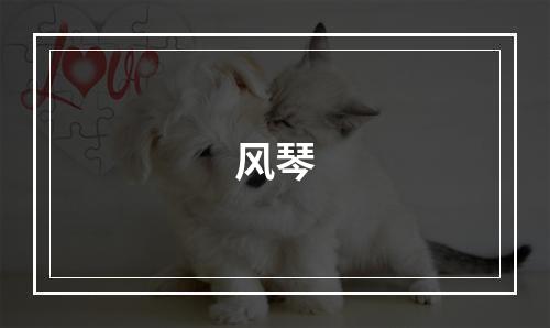 风琴