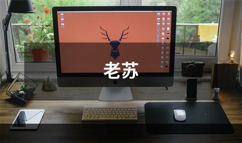 老苏