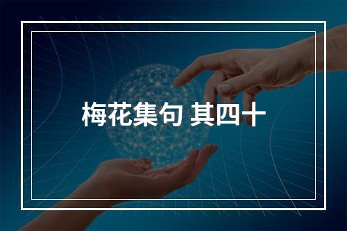 梅花集句 其四十