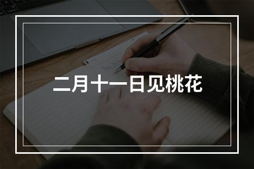 二月十一日见桃花
