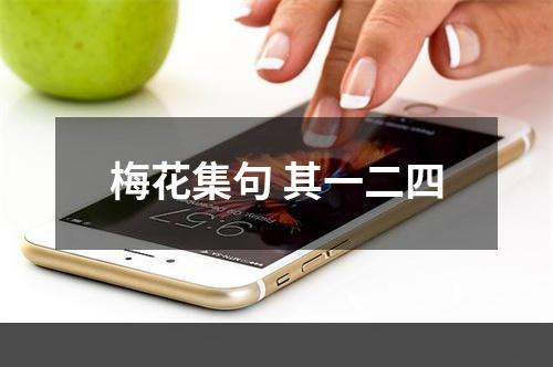 梅花集句 其一二四