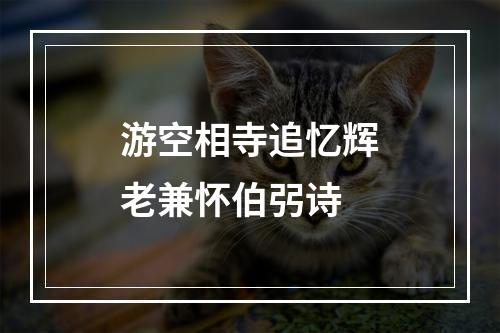 游空相寺追忆辉老兼怀伯弜诗