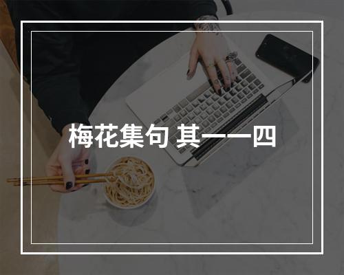梅花集句 其一一四