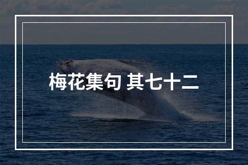 梅花集句 其七十二