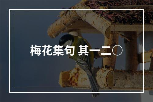 梅花集句 其一二○