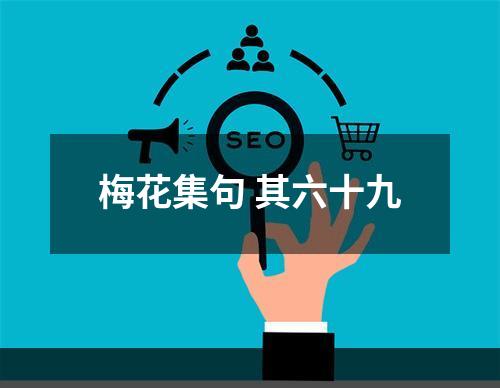 梅花集句 其六十九