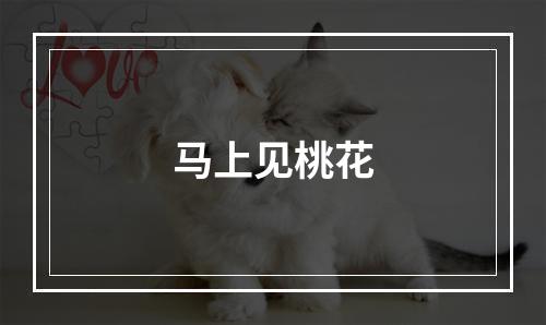 马上见桃花