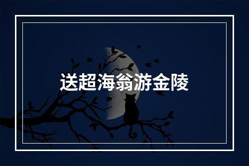 送超海翁游金陵