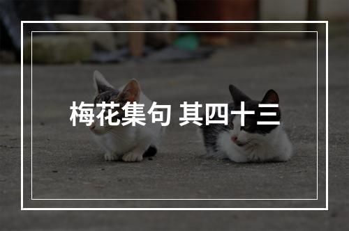 梅花集句 其四十三