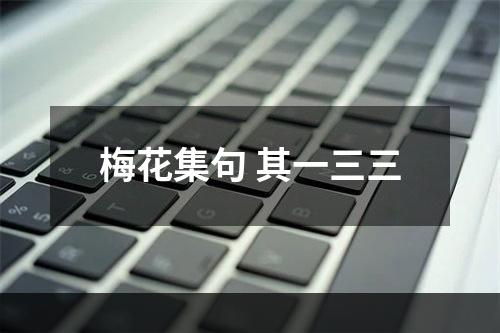 梅花集句 其一三三