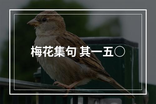 梅花集句 其一五○